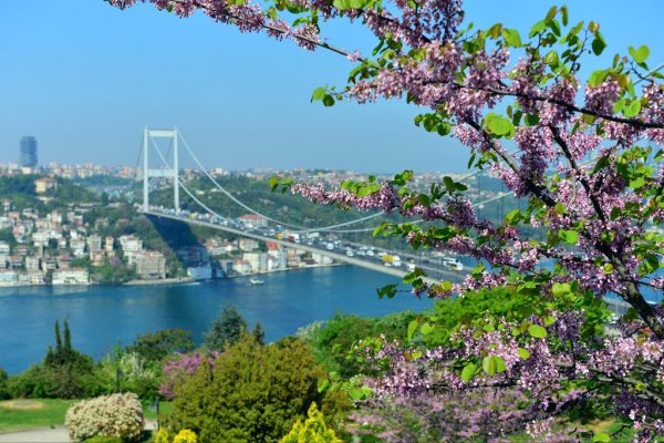 Стамбул Весна Босфор