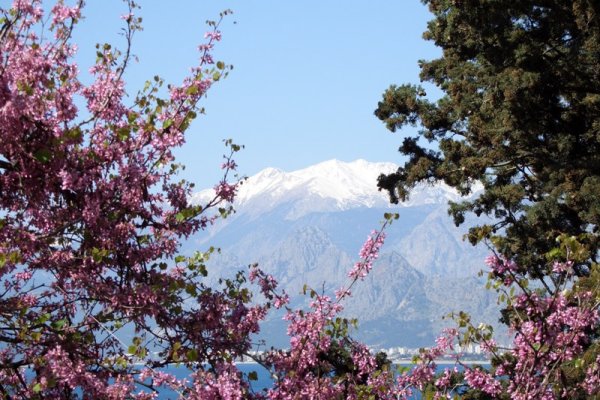 Весна в Турции Анталия