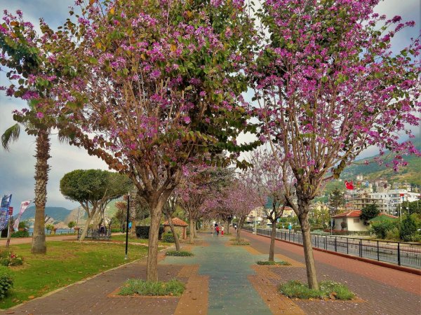 Турция Истамбул