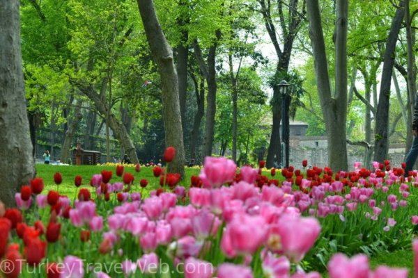 Стамбул Турция март