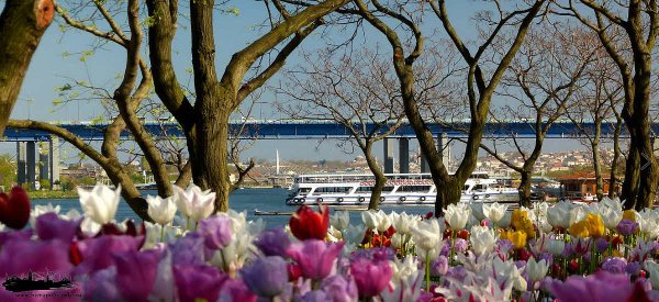 Парк Чамлыджа Стамбул