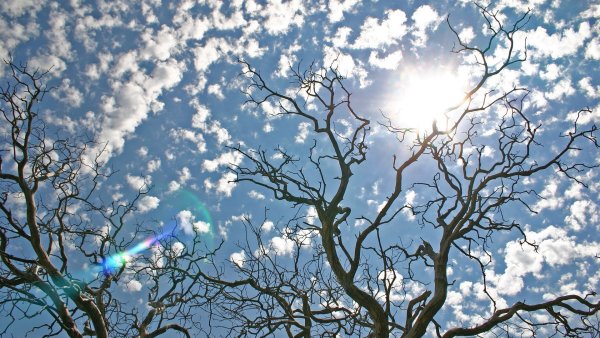 Здравствуй апрель