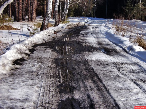 Весне дорогу!