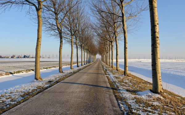 Весне дорогу!