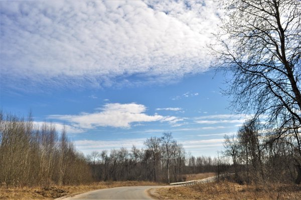 Весна март дорога