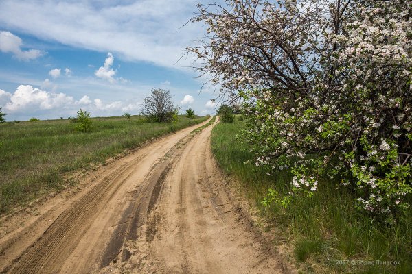 Весне дорогу!