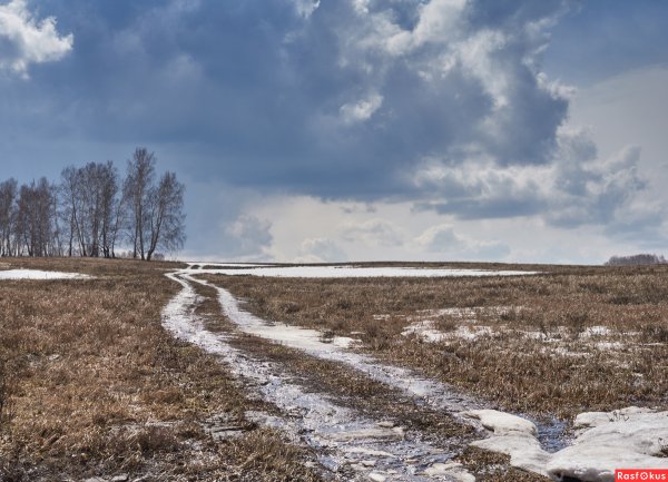 Поле ранней весной