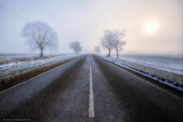 Весне дорогу!