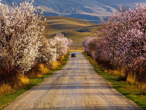 Весенняя дорога