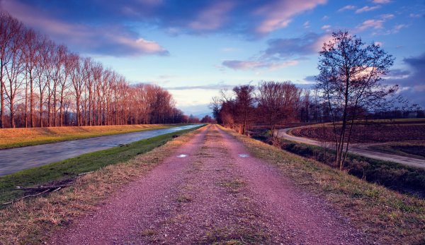 Дорога весной