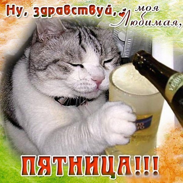 Поздравляю с тяпницей