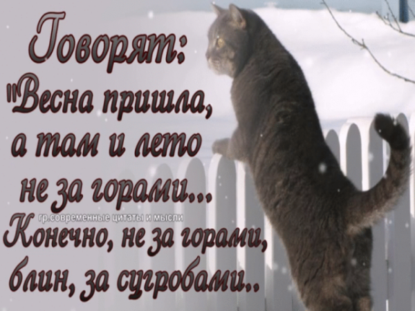 Где Весна