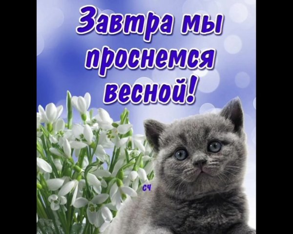 С добрым весенним утром природа