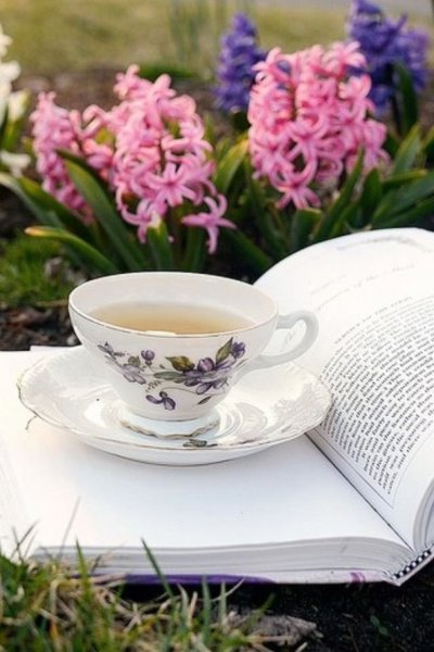 Доброе утро чашка чая