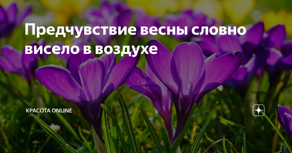 Предчувствие весны