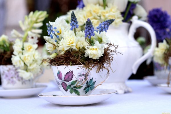 Весенний завтрак с цветами