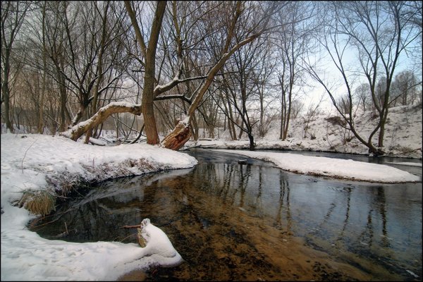 Февраль предчувствие весны