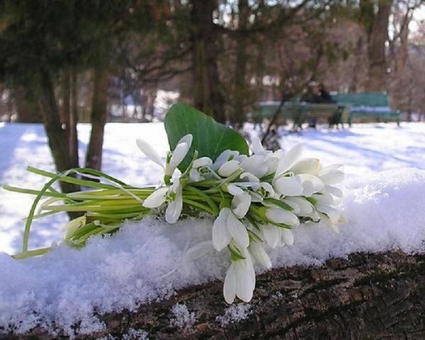 Предчувствие весны