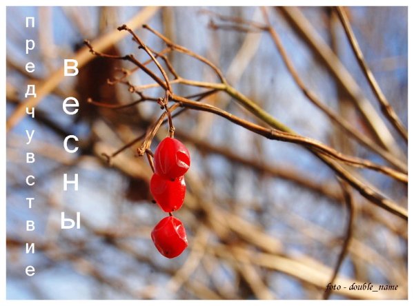 В предвкушении весны