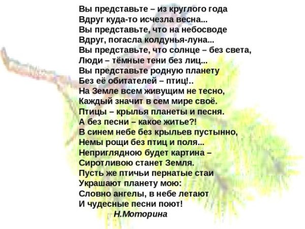 Кот уходит
