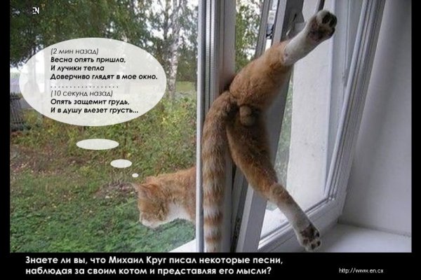 Весна заблудилась стихи