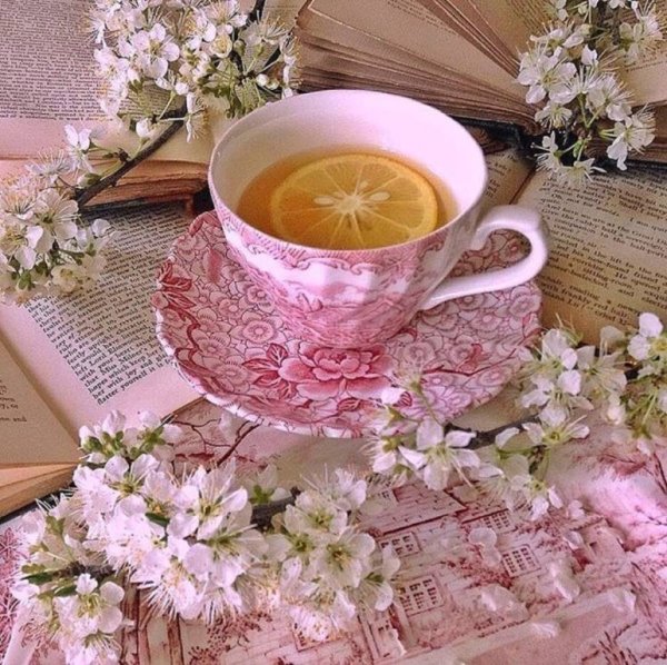 Чашка чая и цветы