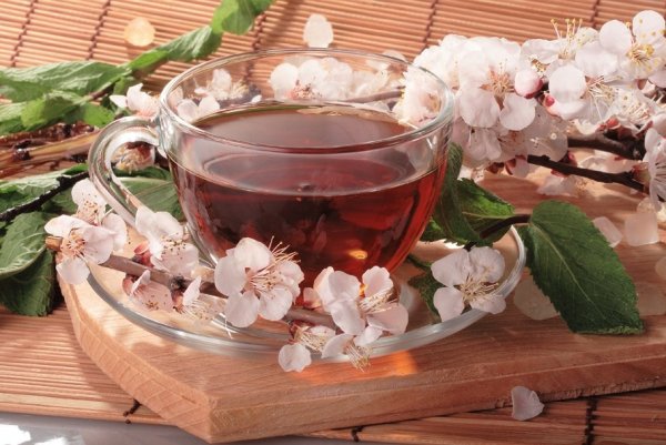 Весенняя чашка чая