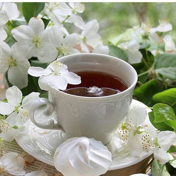 Доброе утро Жасмин