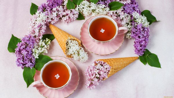 Сирень чаепитие