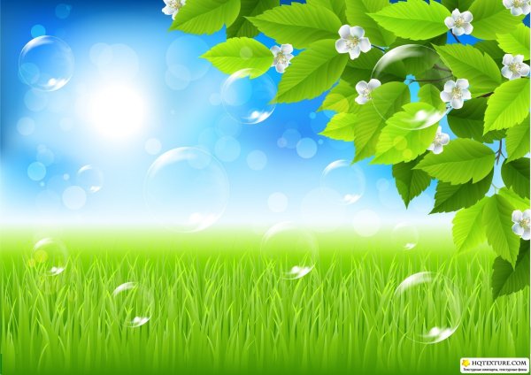Фон для презентации Весна