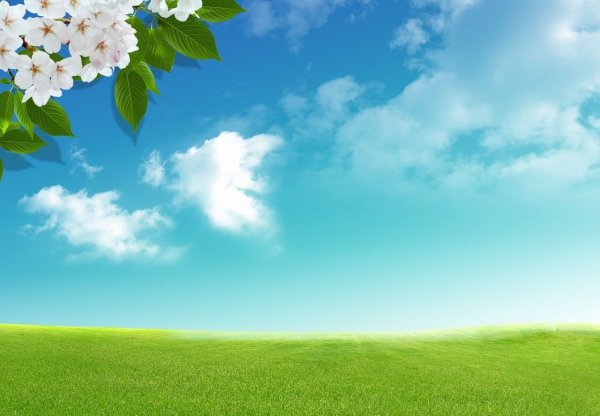 Весенний фон для презентации