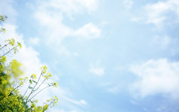 Весенние фоны для детского сада