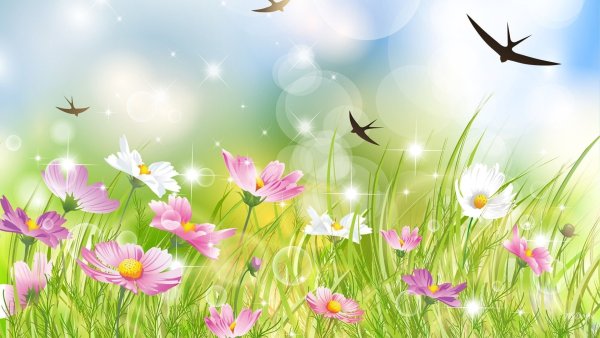 Подснежники фон