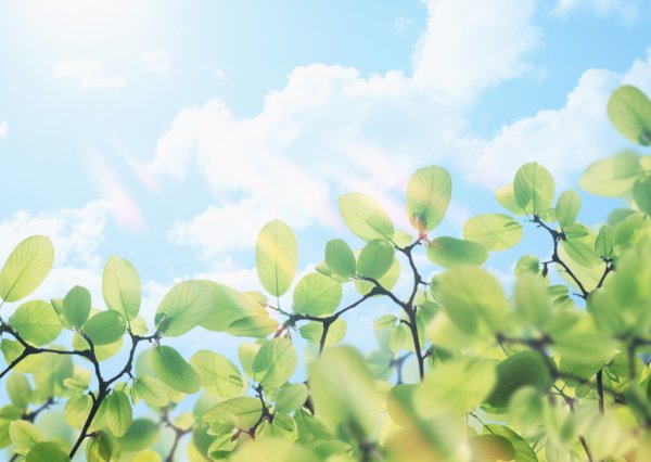 Весенний пейзаж фон