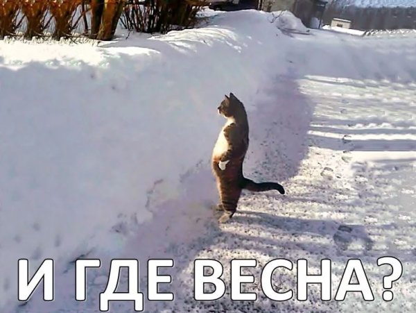 С началом весны