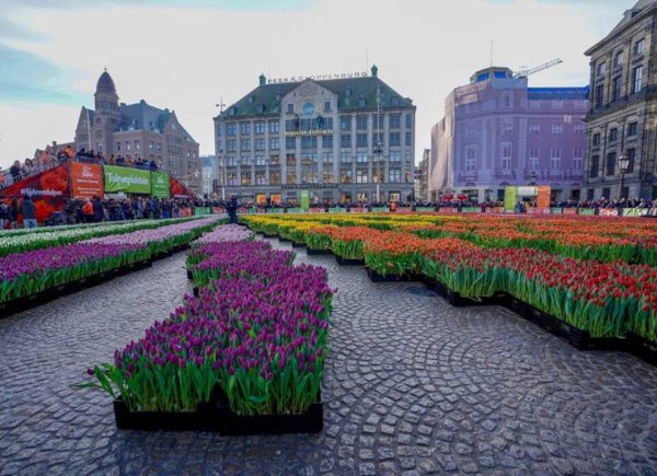 Hollandia Амстердам