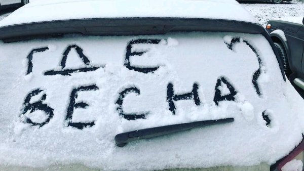 Шутки про весну в картинках