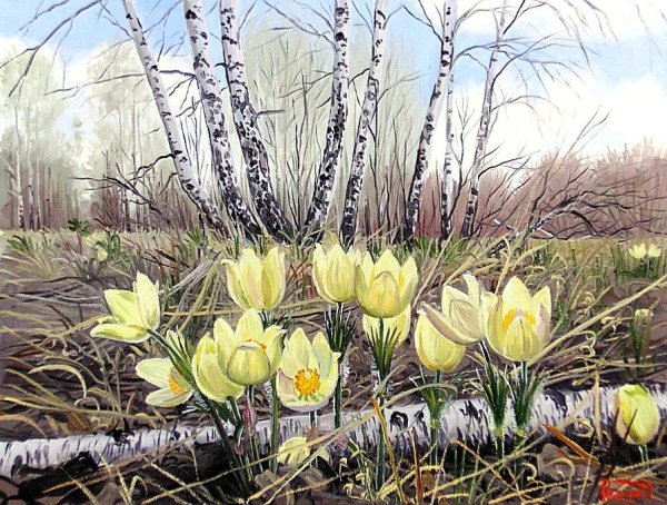 Весна природа