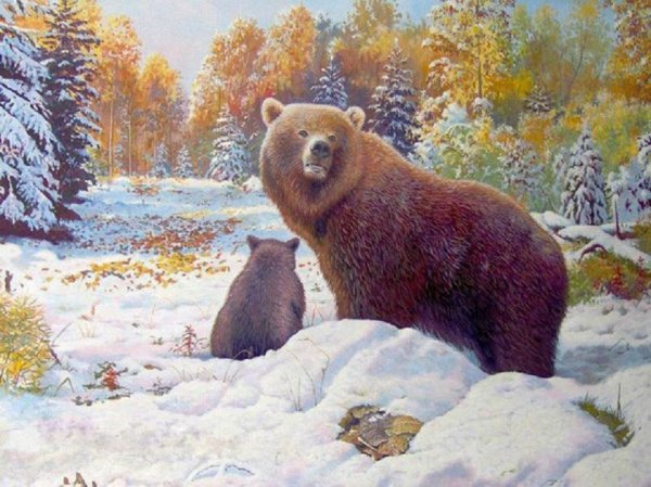 Медвежонок в лесу