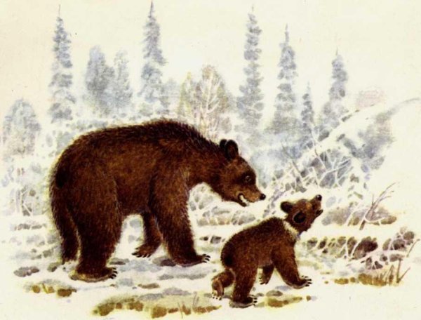 Медведица с медвежатами весной
