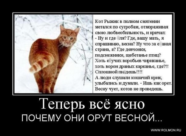 Смешные афоризмы про весну