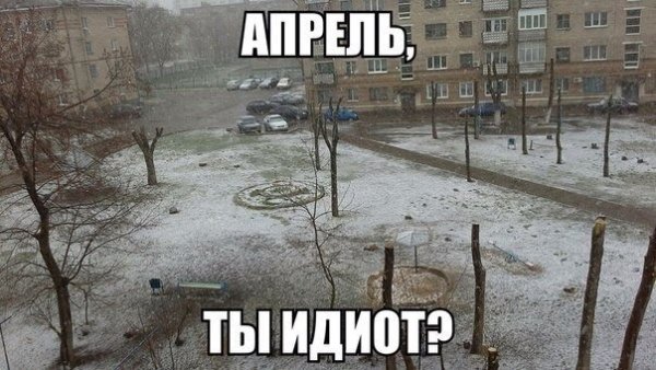 Снег в апреле приколы