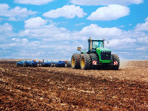 Сельское хозяйство посевная