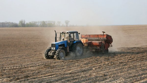 Осенний Сев