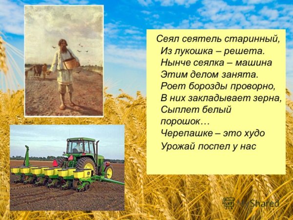 Хлебороб презентация для детей