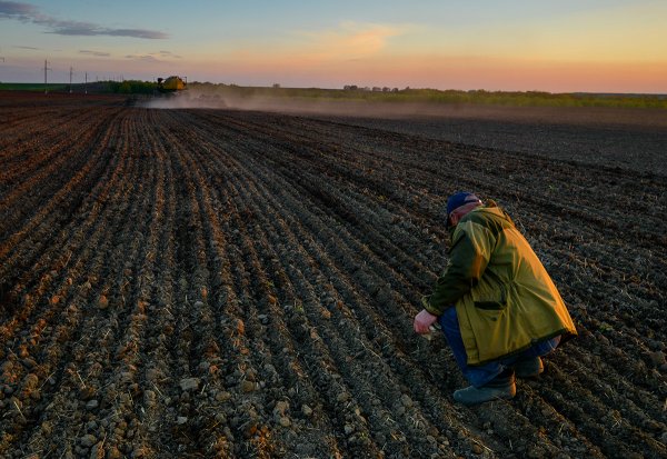 Сельское хозяйство