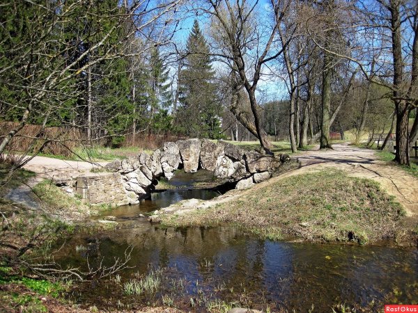 Павловск весной фото