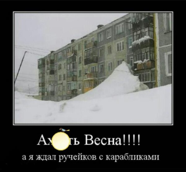 Шутки про снежную весну