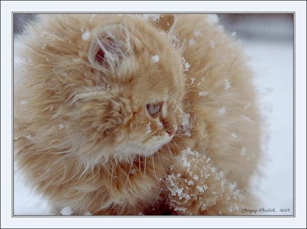 Люди проводившие зиму вы куда ее проводили