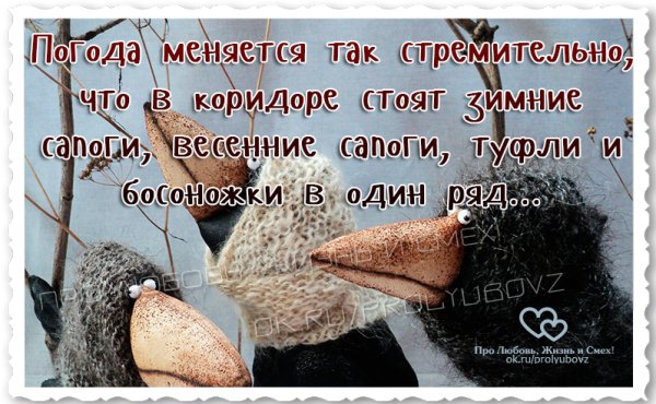 Мемы про весну